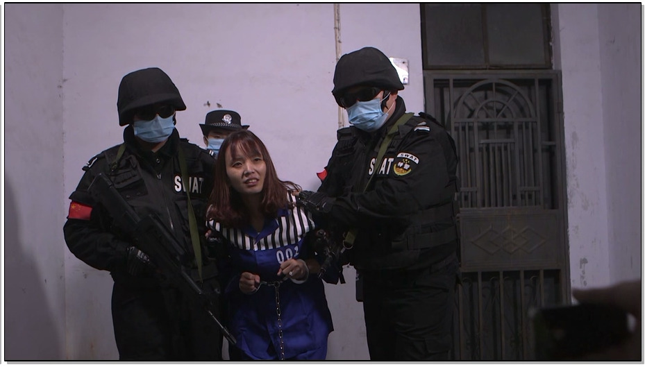 【胜景山庄】张丽敏伏法记