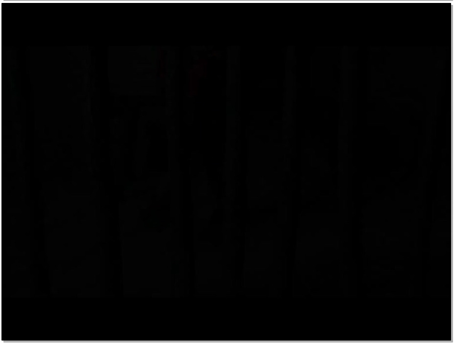 【胜景山庄】洞房奇案