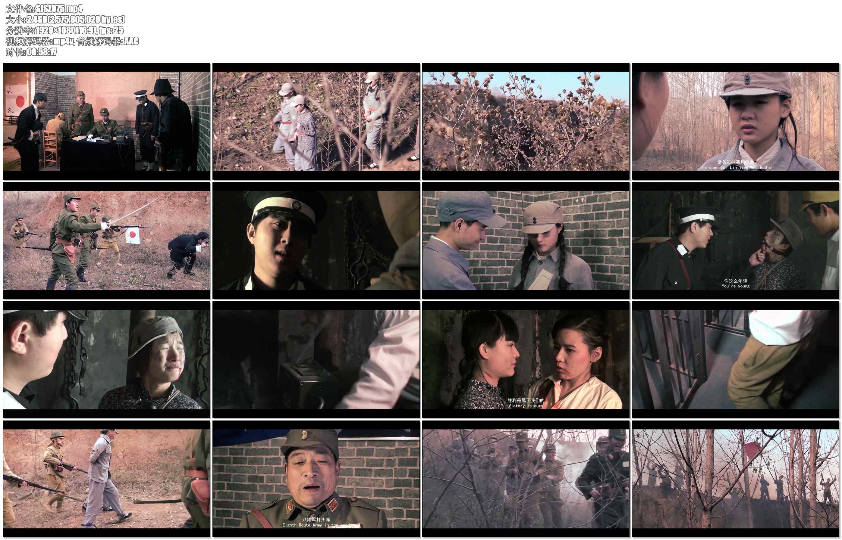 【胜景影视】谍战大片 血染老虎岭