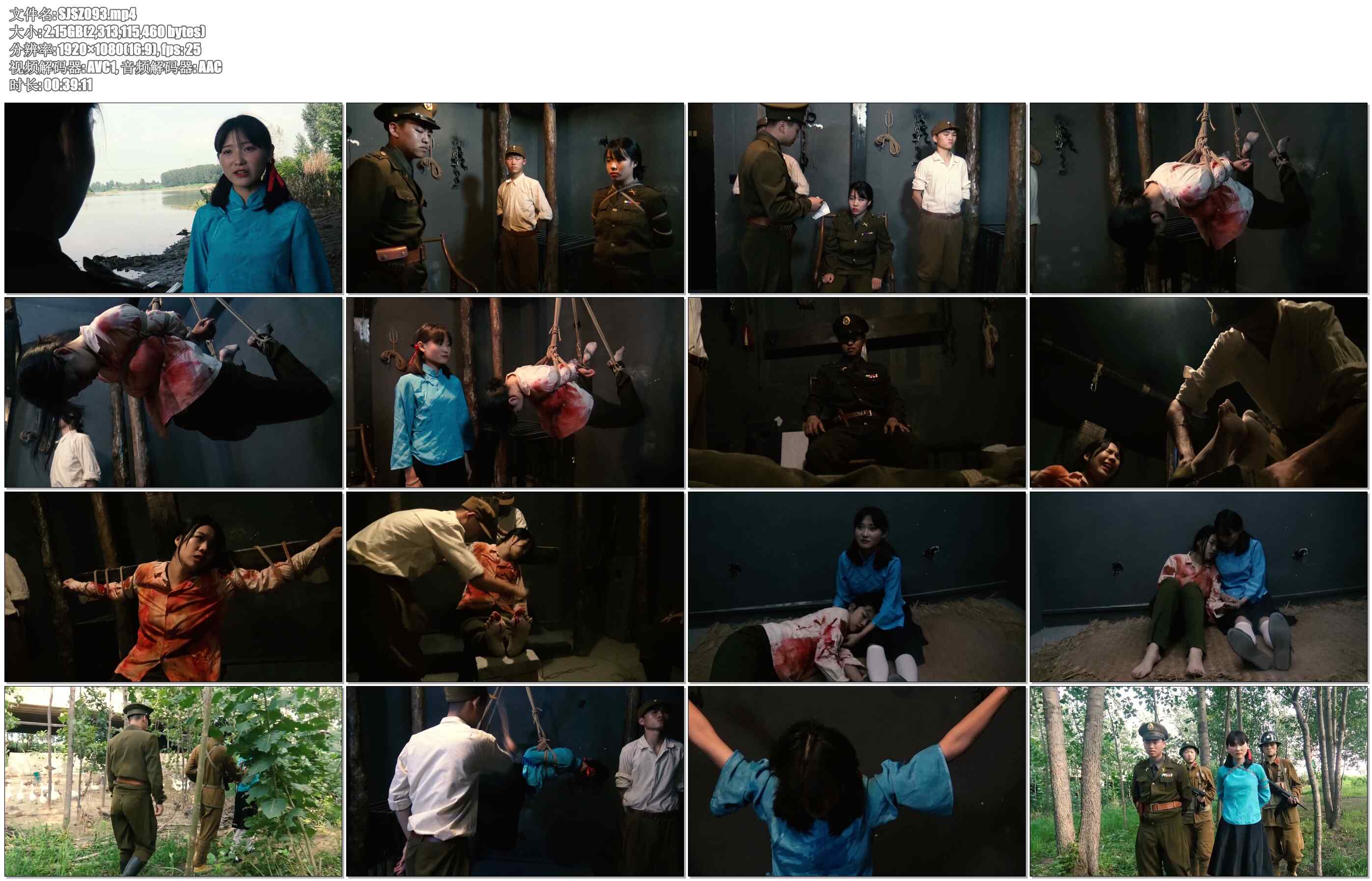 【胜景影视】谍影二金钗