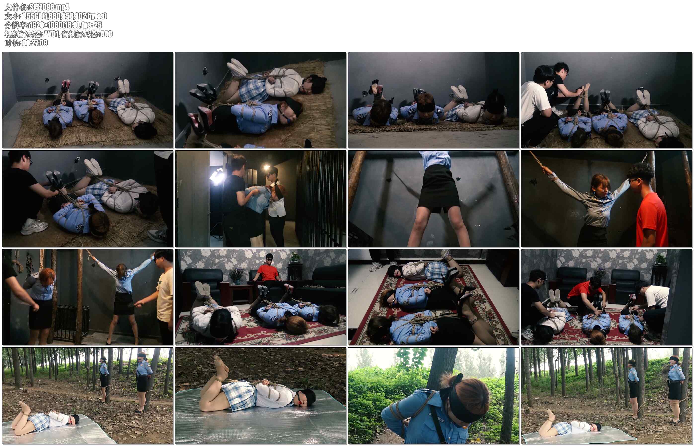 【胜景影视】诱捕 2 下集