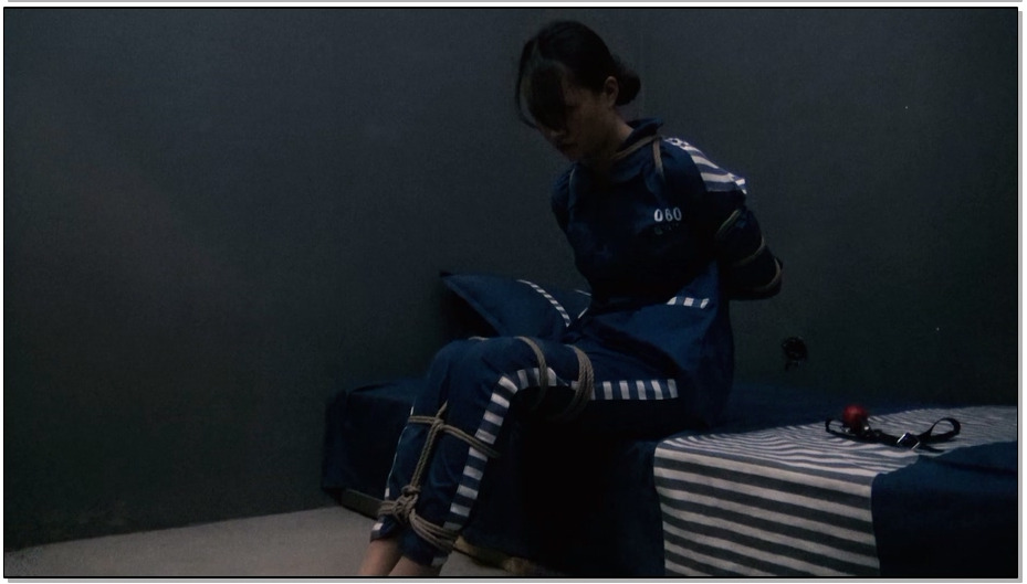 【胜景山庄】脱逃1 越狱