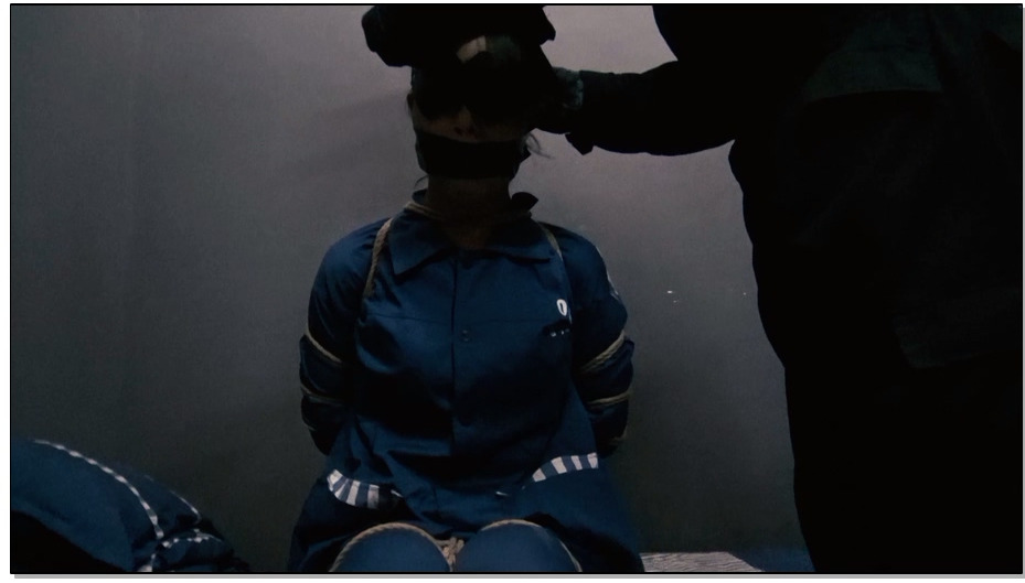 【胜景山庄】脱逃1 越狱