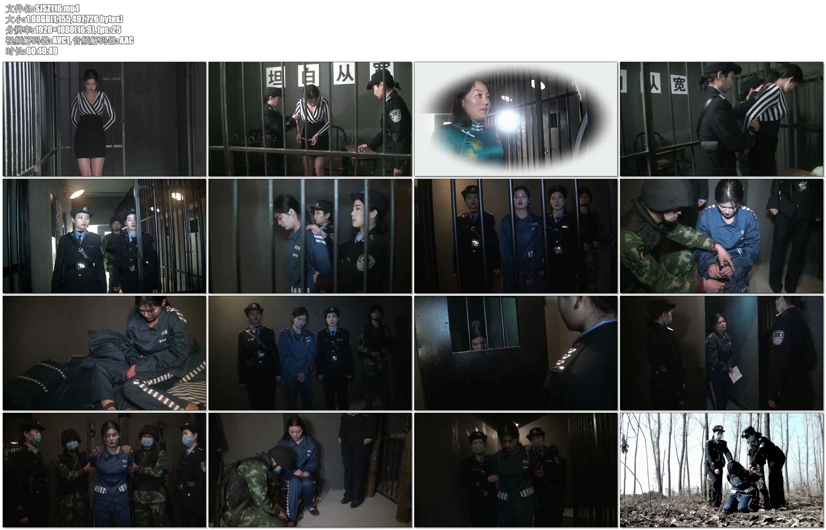 【胜景山庄】丽人恨