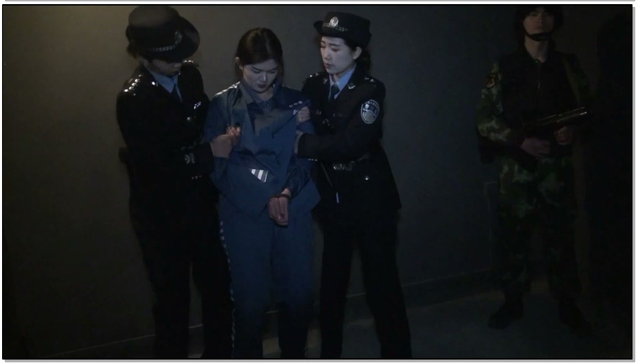 【胜景山庄】丽人恨