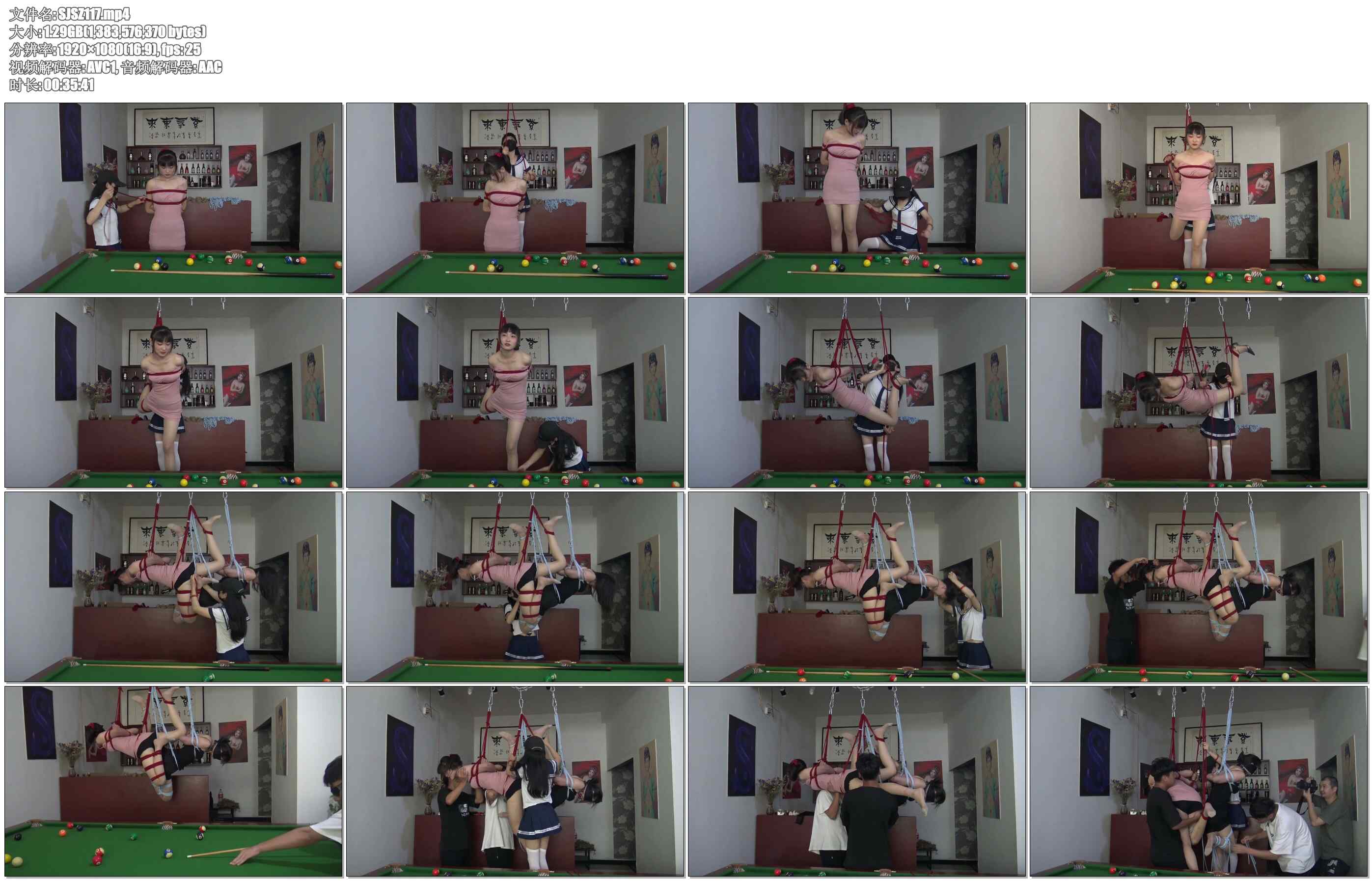 【胜景山庄】打球的乐趣紧缚