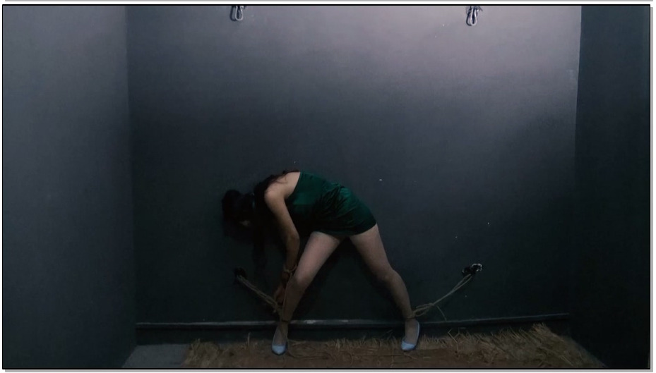 【胜景山庄】脱逃2 人贩子落网