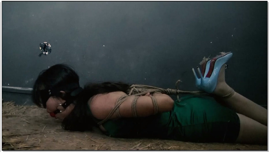 【胜景山庄】脱逃2 人贩子落网