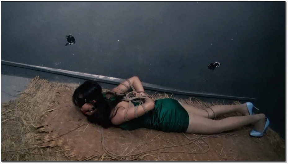 【胜景山庄】脱逃2 人贩子落网