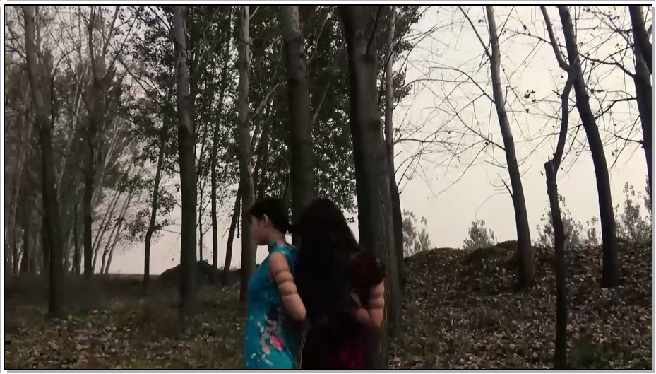 【胜景影视】极限紧缚之野炊之乐 上