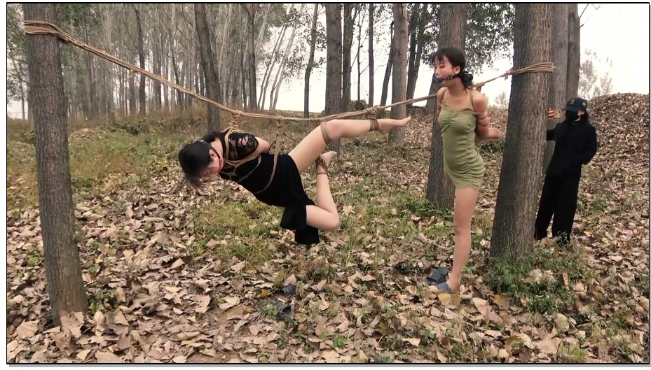 【胜景影视】胜景影视 绳吊双M之野炊之乐 下