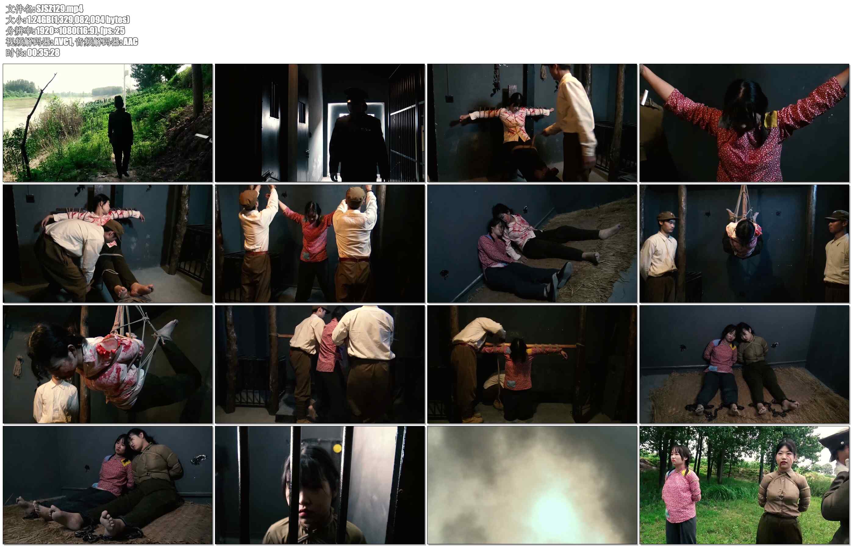 【胜景影视】谍影双烈