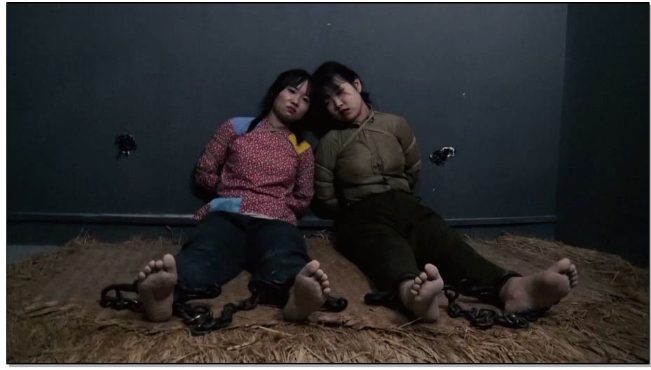 【胜景影视】谍影双烈