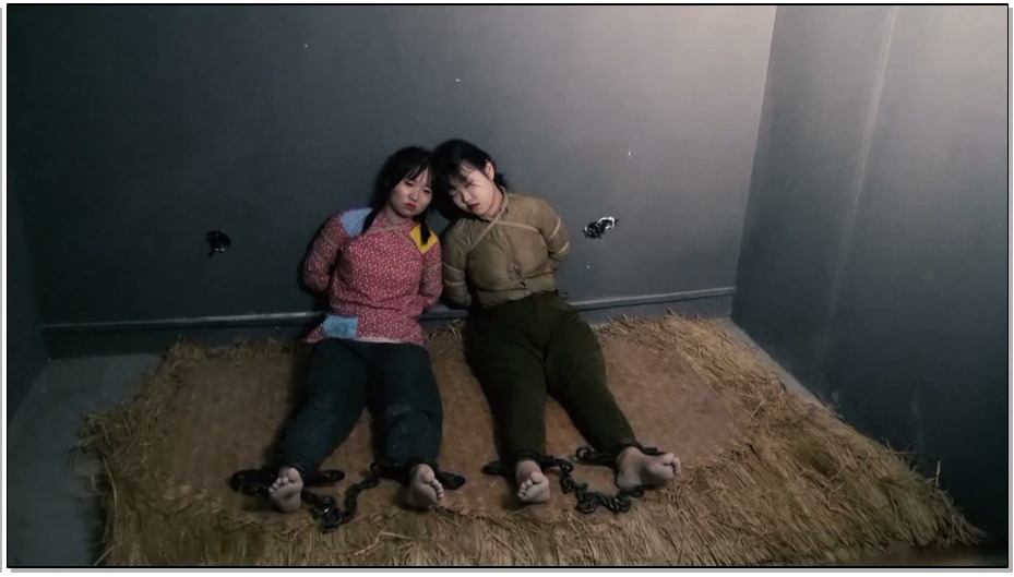 【胜景影视】谍影双烈