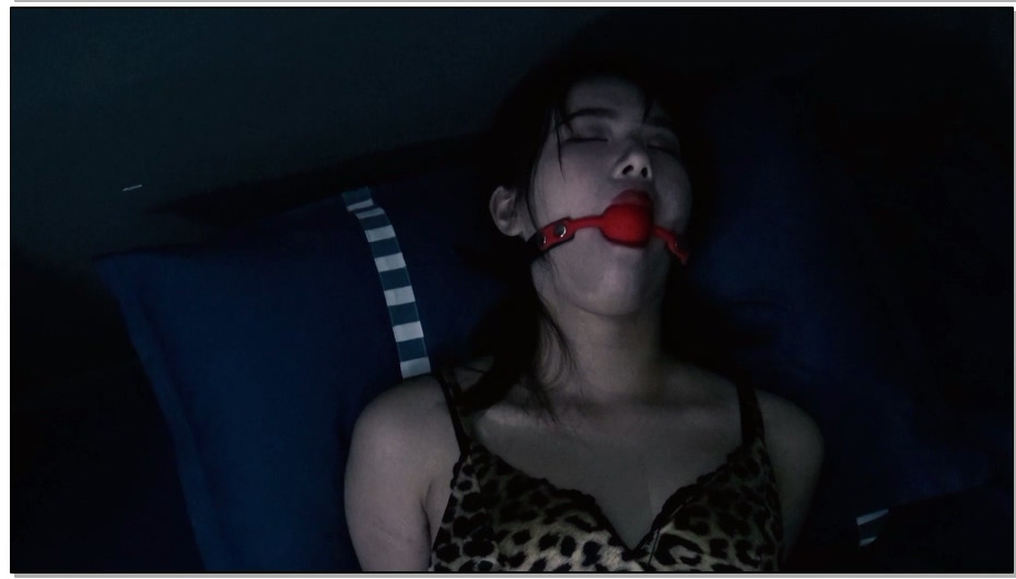 【胜景影视】禁锢铁面人