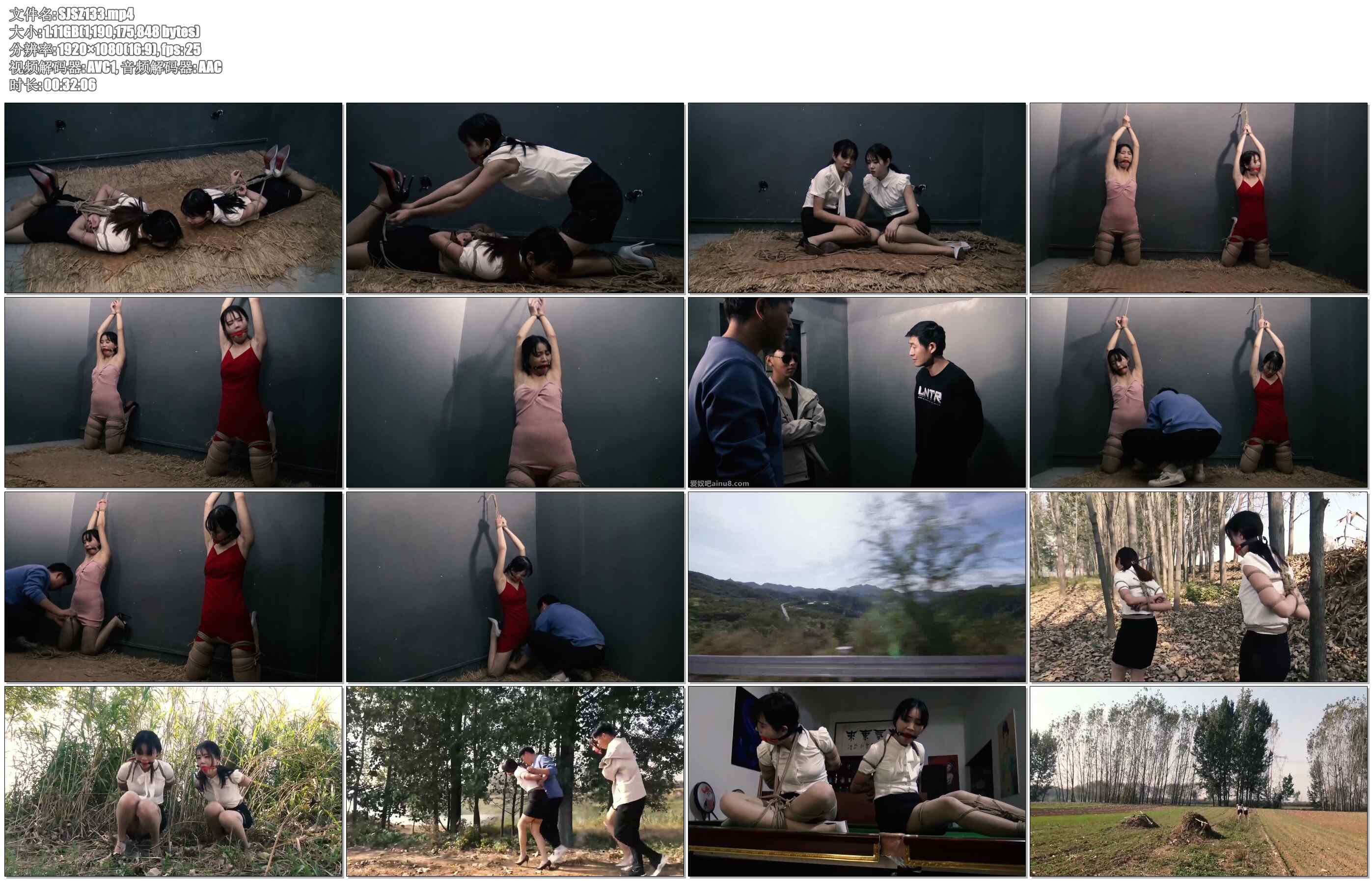 【胜景影视】卧底的遭遇2