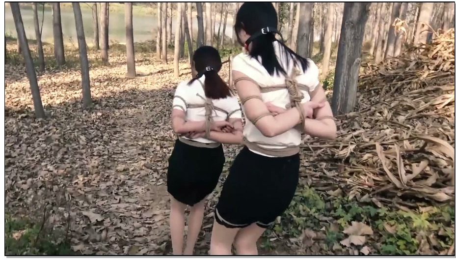 【胜景影视】卧底的遭遇2