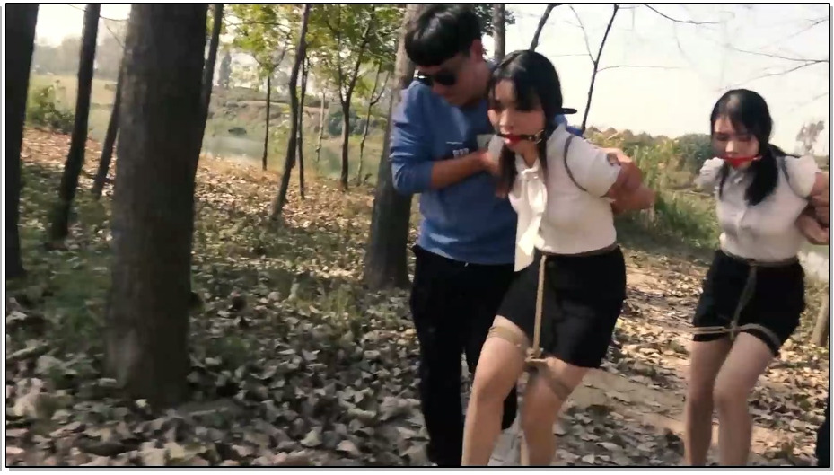 【胜景影视】卧底的遭遇2