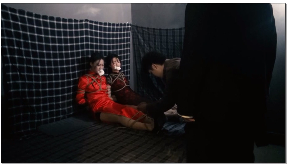 【胜景影视】女子特工队2 上