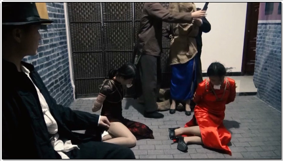 【胜景影视】女子特工队2 上