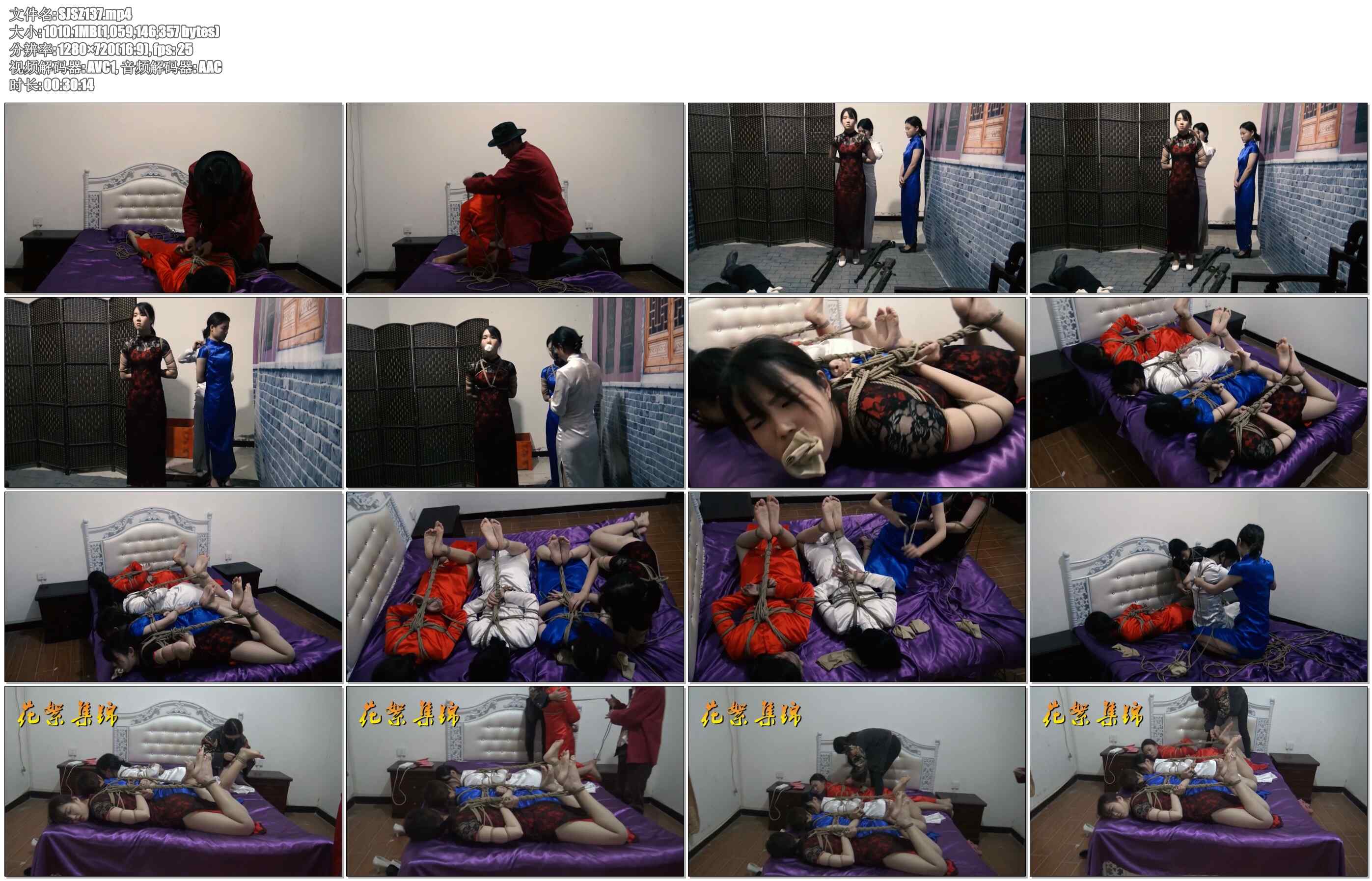 【胜景影视】女子特工队2 下