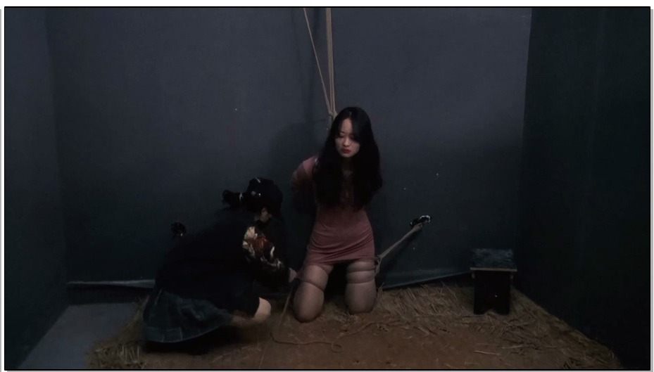 【胜景影视】脱逃3