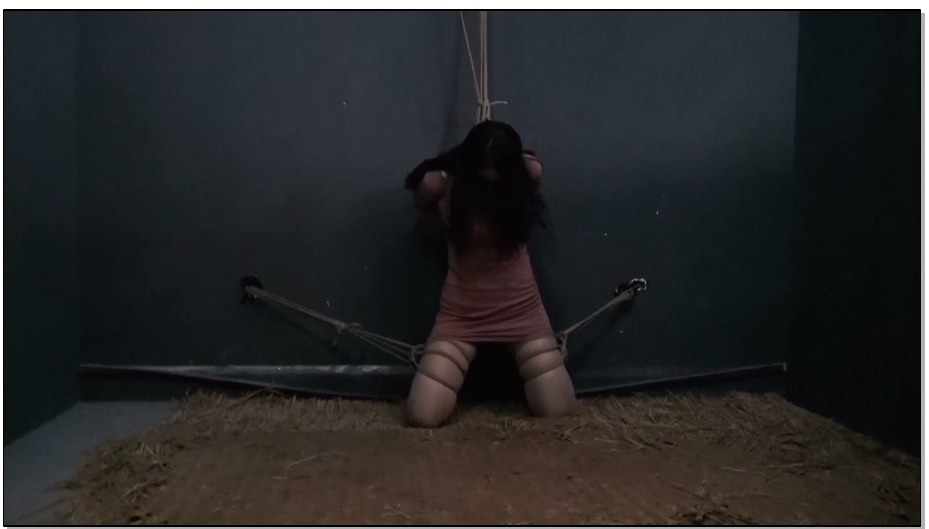 【胜景影视】脱逃3