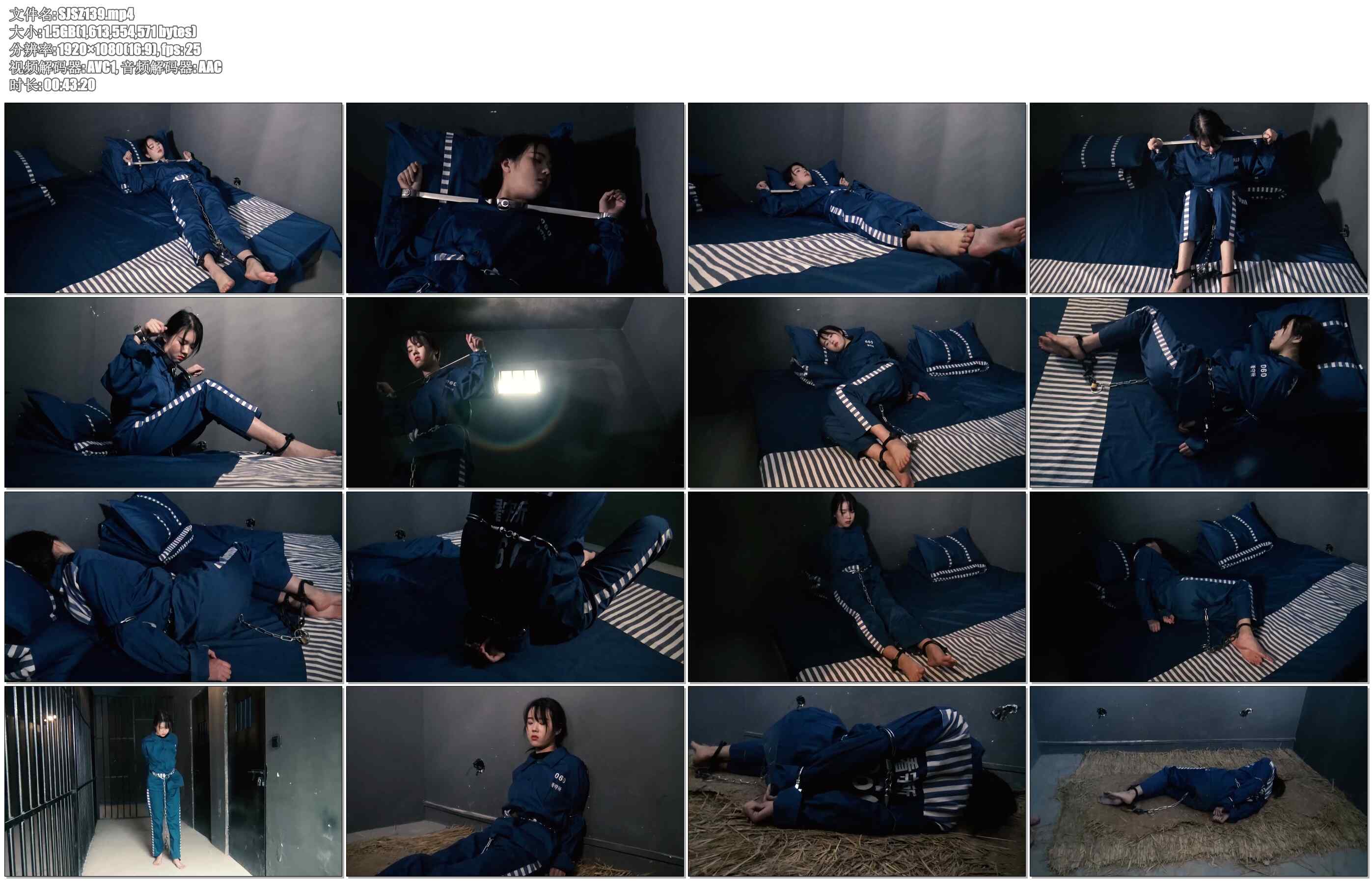 【胜景影视】镣铐女犯