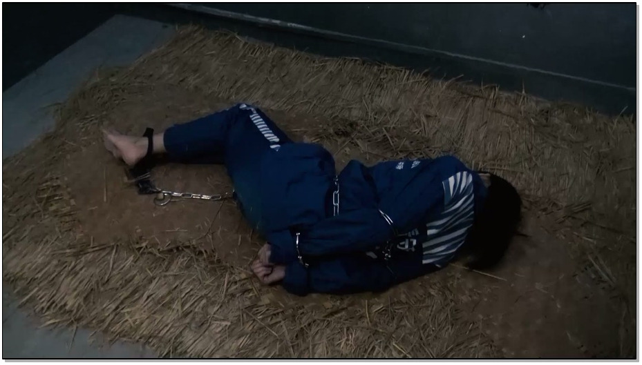 【胜景影视】镣铐女犯