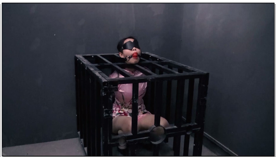 【胜景山庄】脱逃4