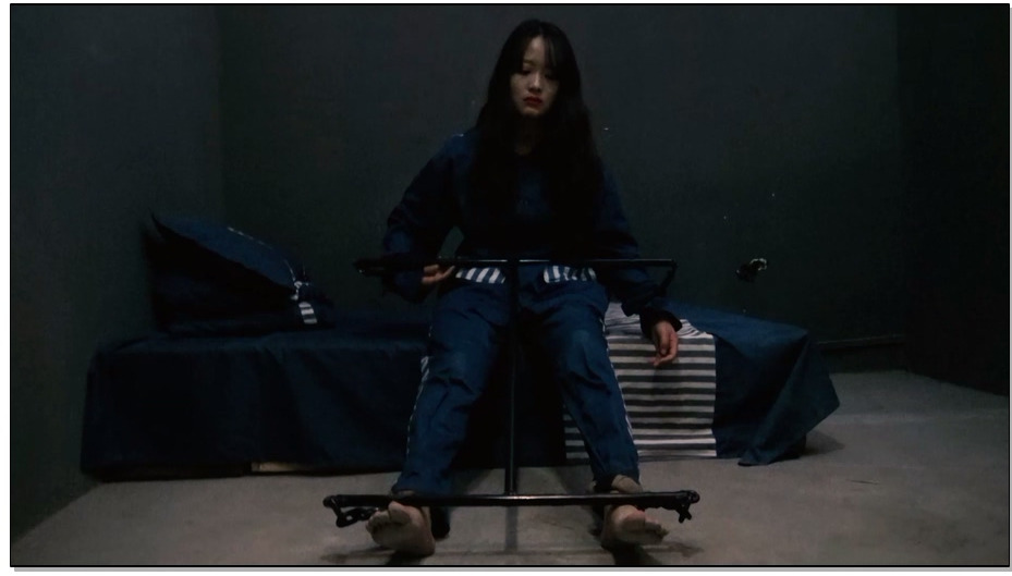 【胜景影视】花季凋落