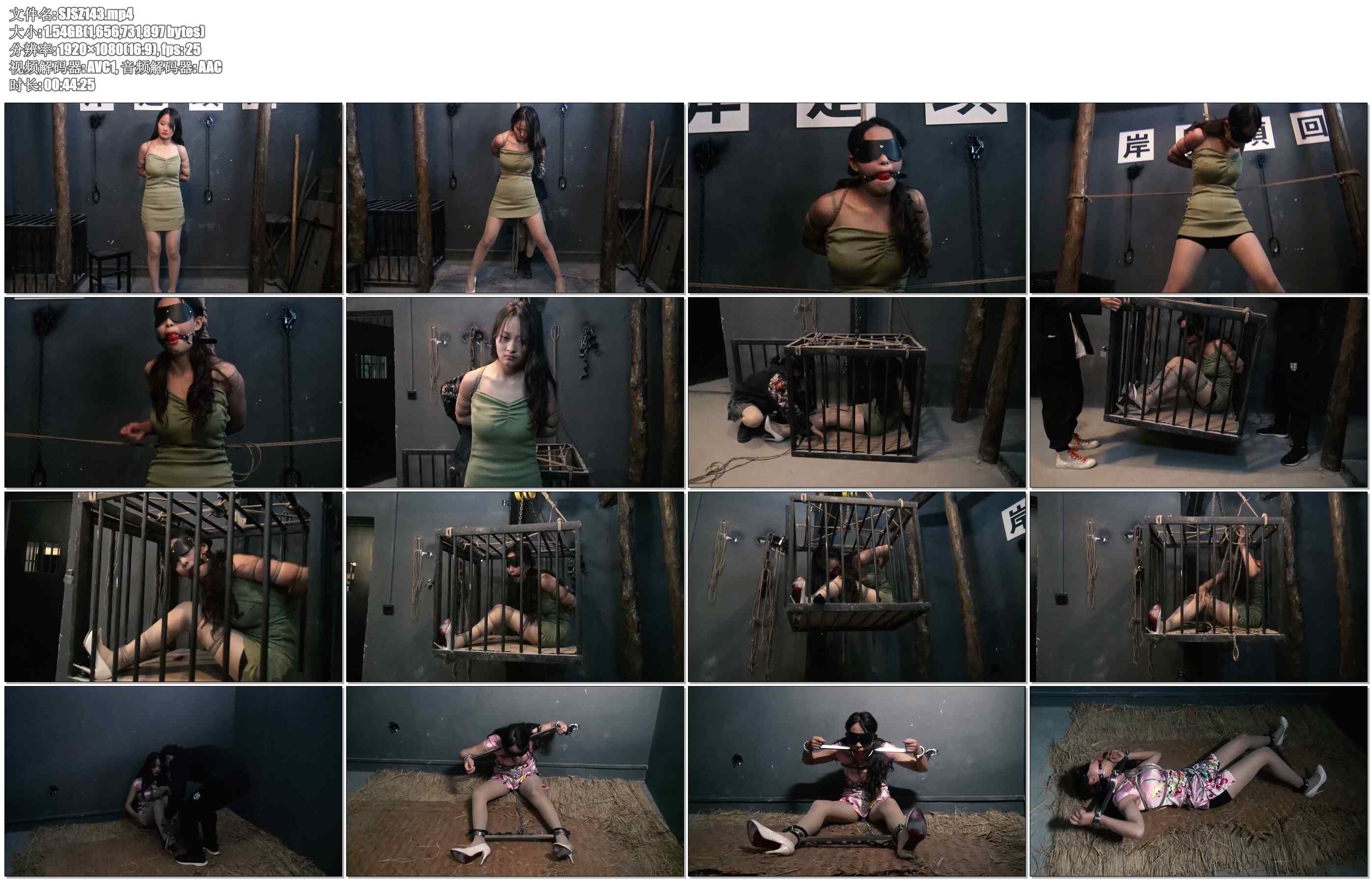 【胜景影视】脱逃5