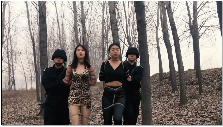 【胜景影视】神秘女郎