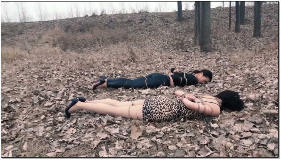 【胜景影视】神秘女郎