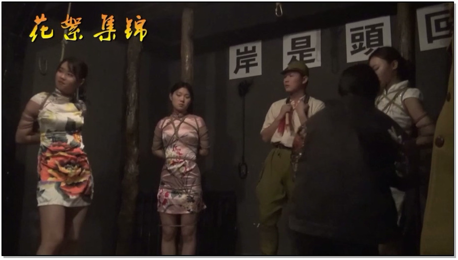 【胜景影视】女子特工队3 下