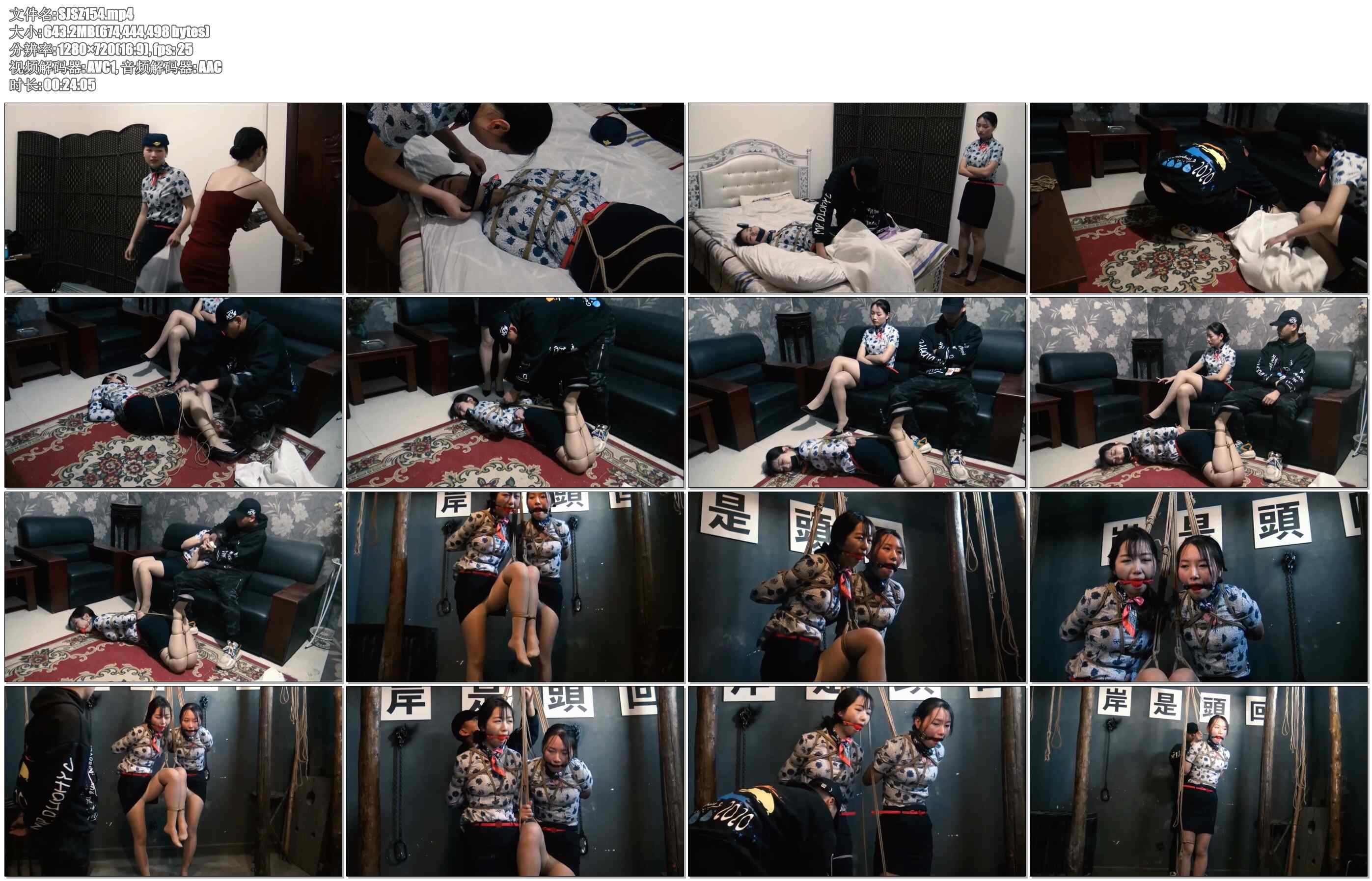 【胜景影视】空姐劫难 上