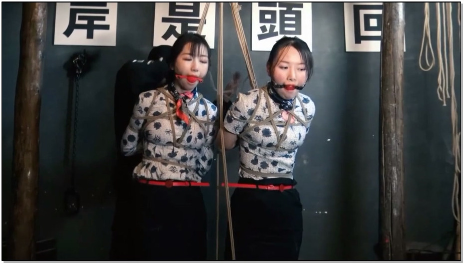 【胜景影视】空姐劫难 上