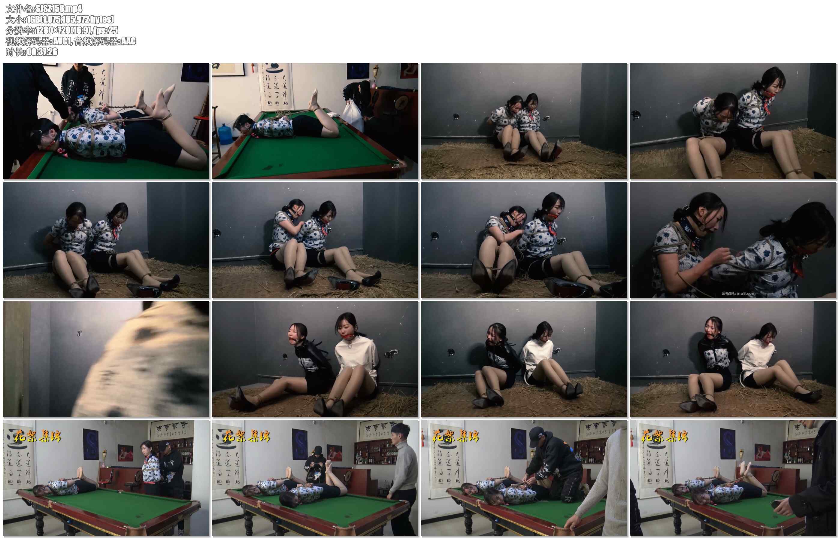 【胜景影视】空姐劫难 下