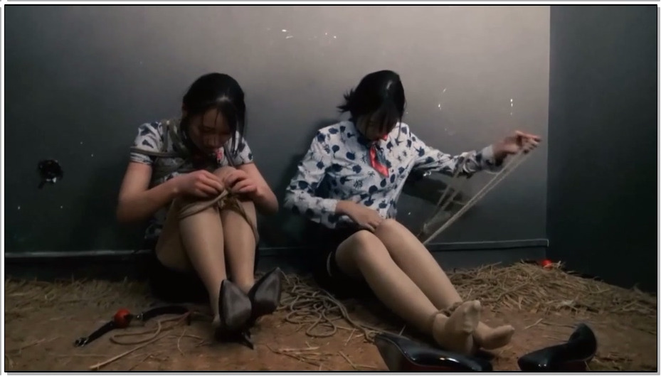 【胜景影视】空姐劫难 下