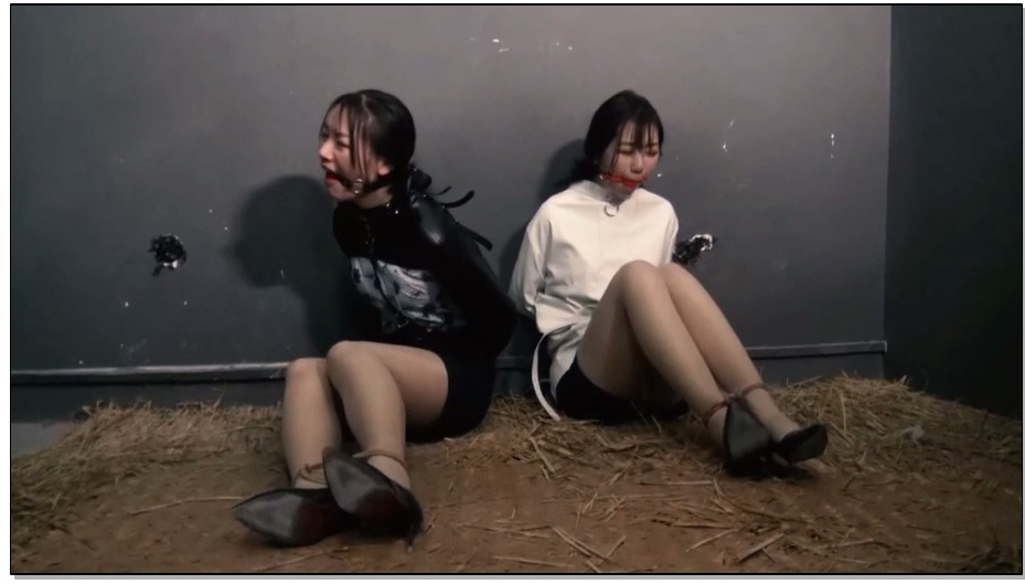 【胜景影视】空姐劫难 下