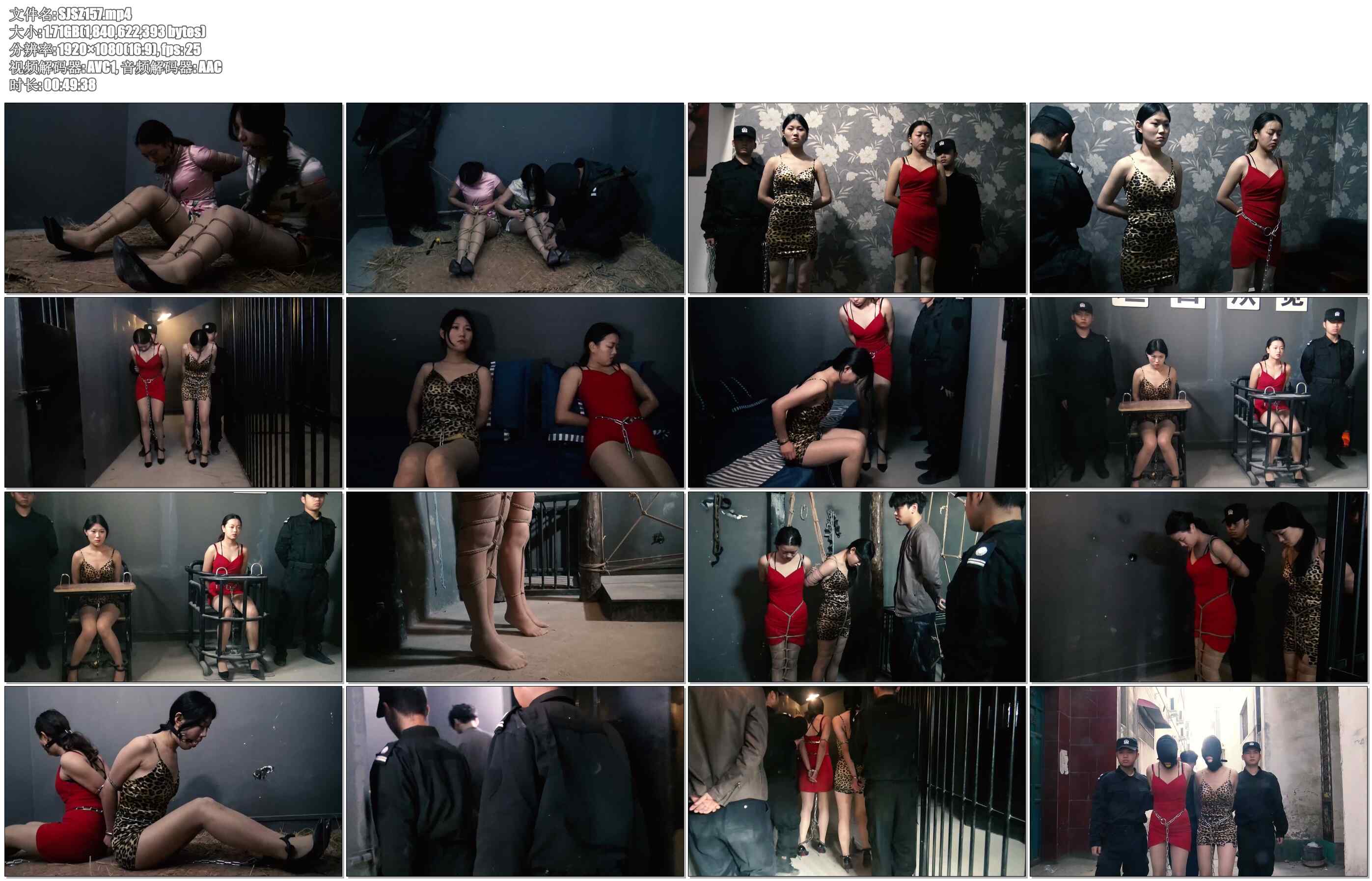 【胜景影视】卧底的遭遇 5