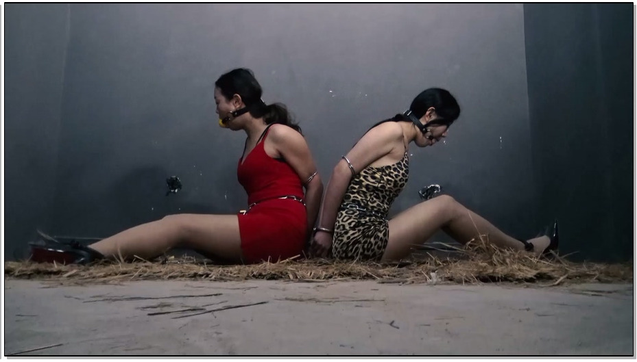 【胜景影视】卧底的遭遇 5