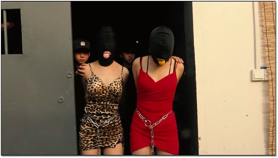 【胜景影视】卧底的遭遇 5