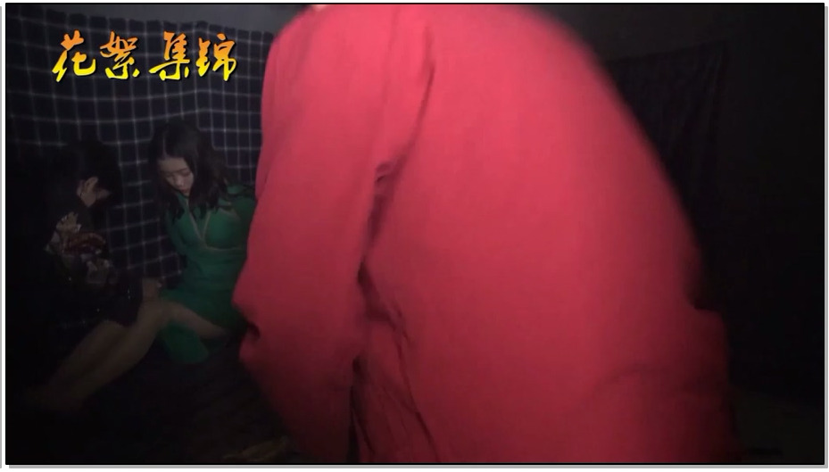 【胜景影视】定拍女子特工队4 下