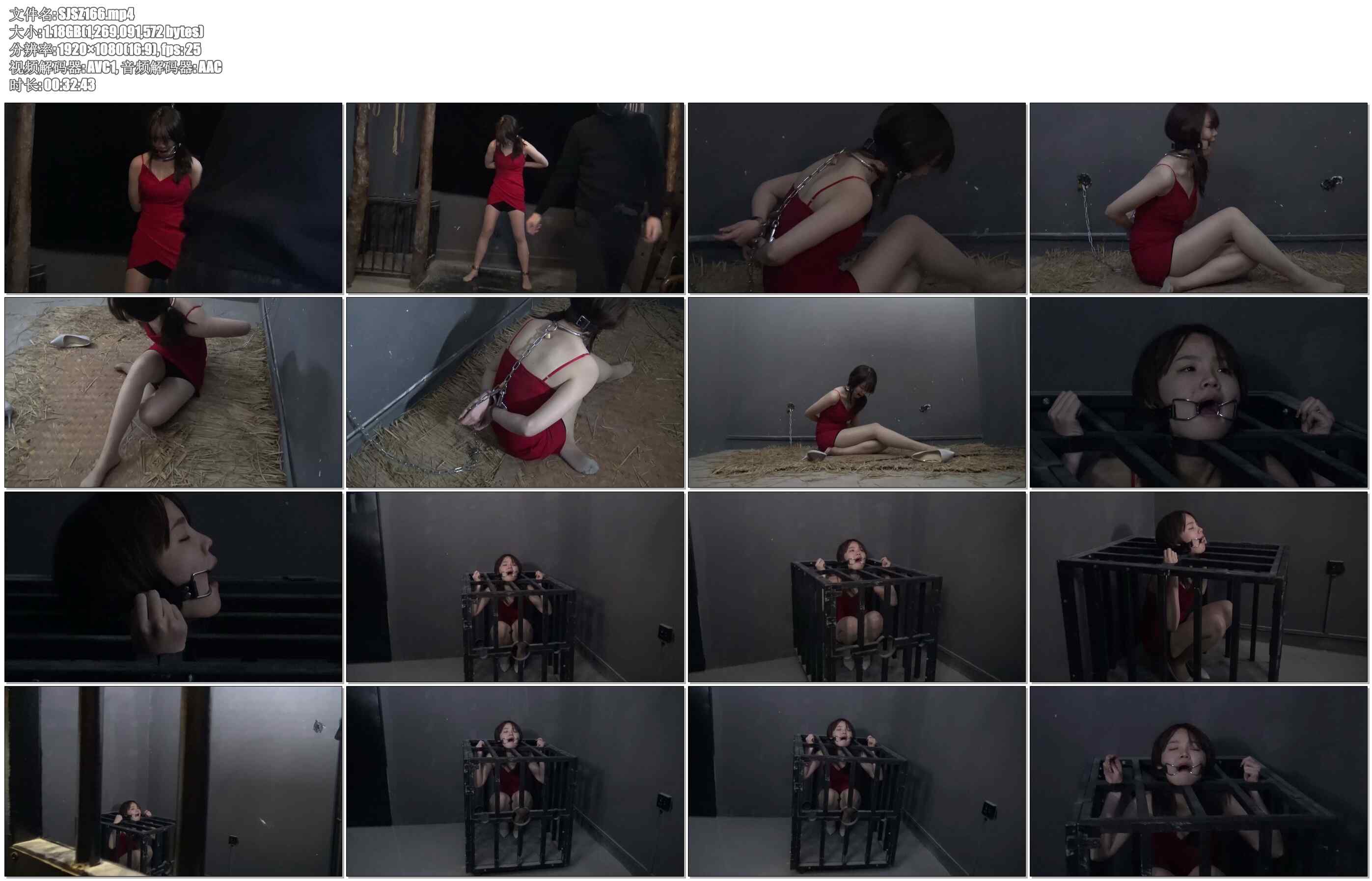 【胜景影视】Sarah特工 下