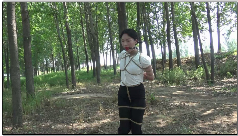 【胜景影视】荒野惊魂