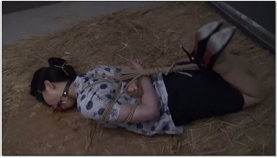 【胜景影视】落难空姐 4