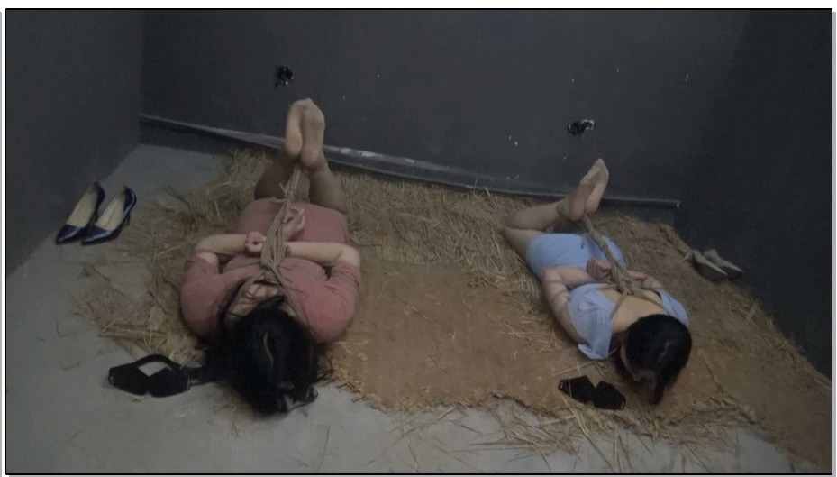 【胜景山庄】失败的营救 1