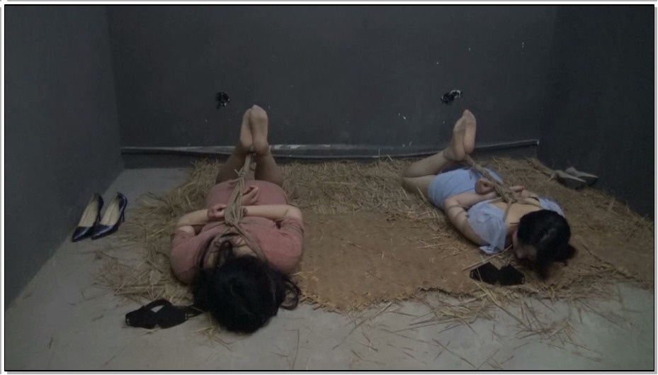 【胜景山庄】失败的营救 1