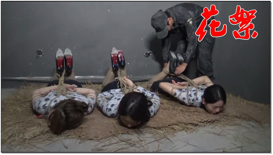 【胜景影视】落难空姐第五集 下 